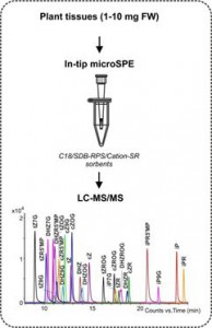 cytokinins-hormonomics