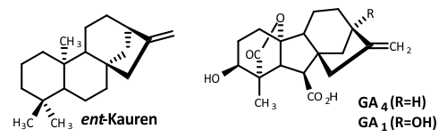 acid